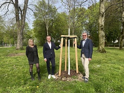 Auf dem Bild sind von links nach rechts Jutta Brock (Amt für Grünflächen und Klimaschutz), Oberbürgermeister Frederick Brütting und Dr. Roland Schurig (Leiter Amt für Kultur und Tourismus) an der neu gepflanzten Schubart-Linde zu sehen