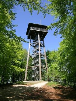 The Aalbäumle wooden tower